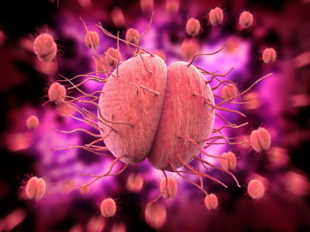 What WHO is Doing About Drug Resistance to Gonorrhoea