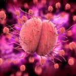 What WHO is Doing About Drug Resistance to Gonorrhoea