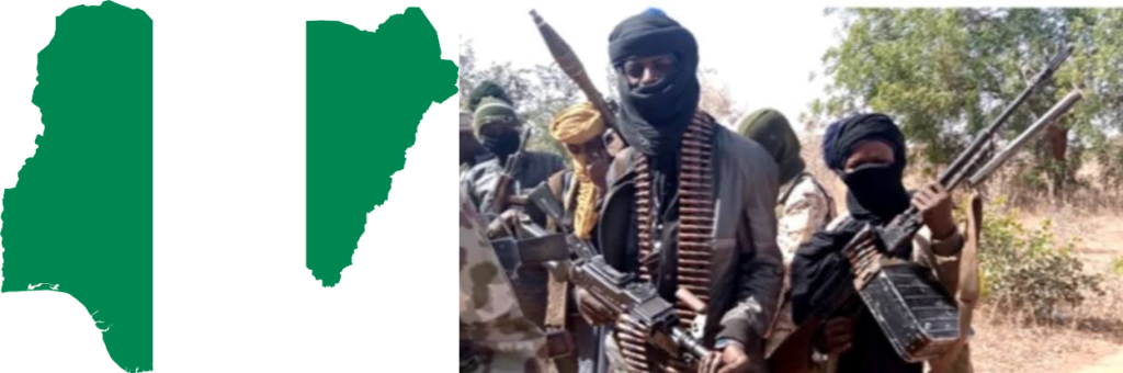 Self Defense: Indigenes Protect Villages Against Banditry Operation