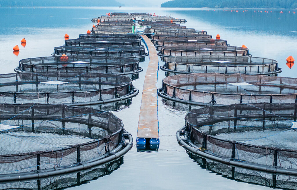 A wider perspective on aquaculture