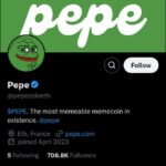 What to Know Before Investing in Pepe Coin